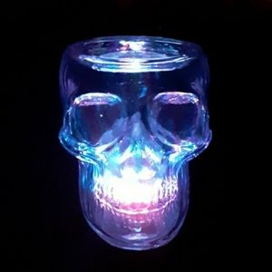 BBW Light-Up Glass Skull Pedestal